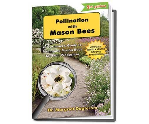 Pollintion with Mason Bees