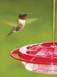WBU Small Decorative Hummingbird Feeder WBU Small Decorative Hummingbird Feeder