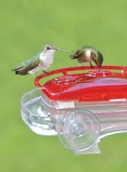 WBU Decorative Window Hummingbird Feeder WBU Decorative Window Hummingbird Feeder