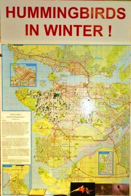 Anna's Hummingbird map