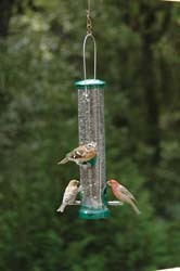 Quick-Clean Seed Tube Feeder