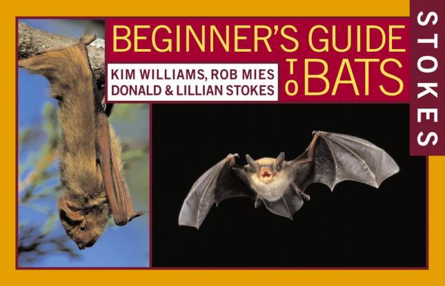 Stokes Beginners Guide Bats