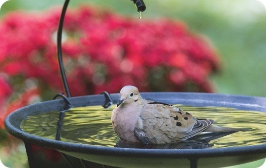 Wild Birds Unlimited Nature Shop