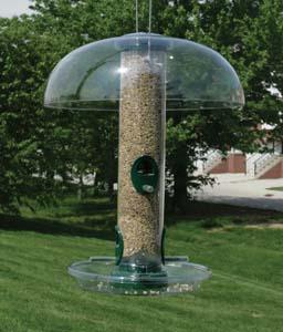 Bird feeders clearance and accessories