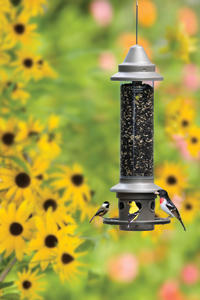 Eliminator Squirrel-Proof Feeder