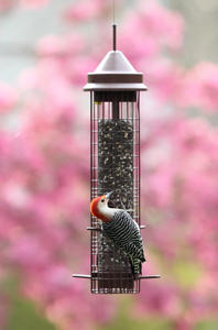 Fundamentals Squirrel-Proof Feeder