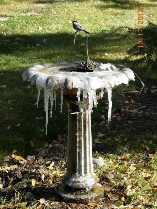 herb's bird bath