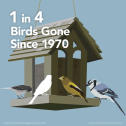 3 Billion Birds - 1 in 4 Birds Gone